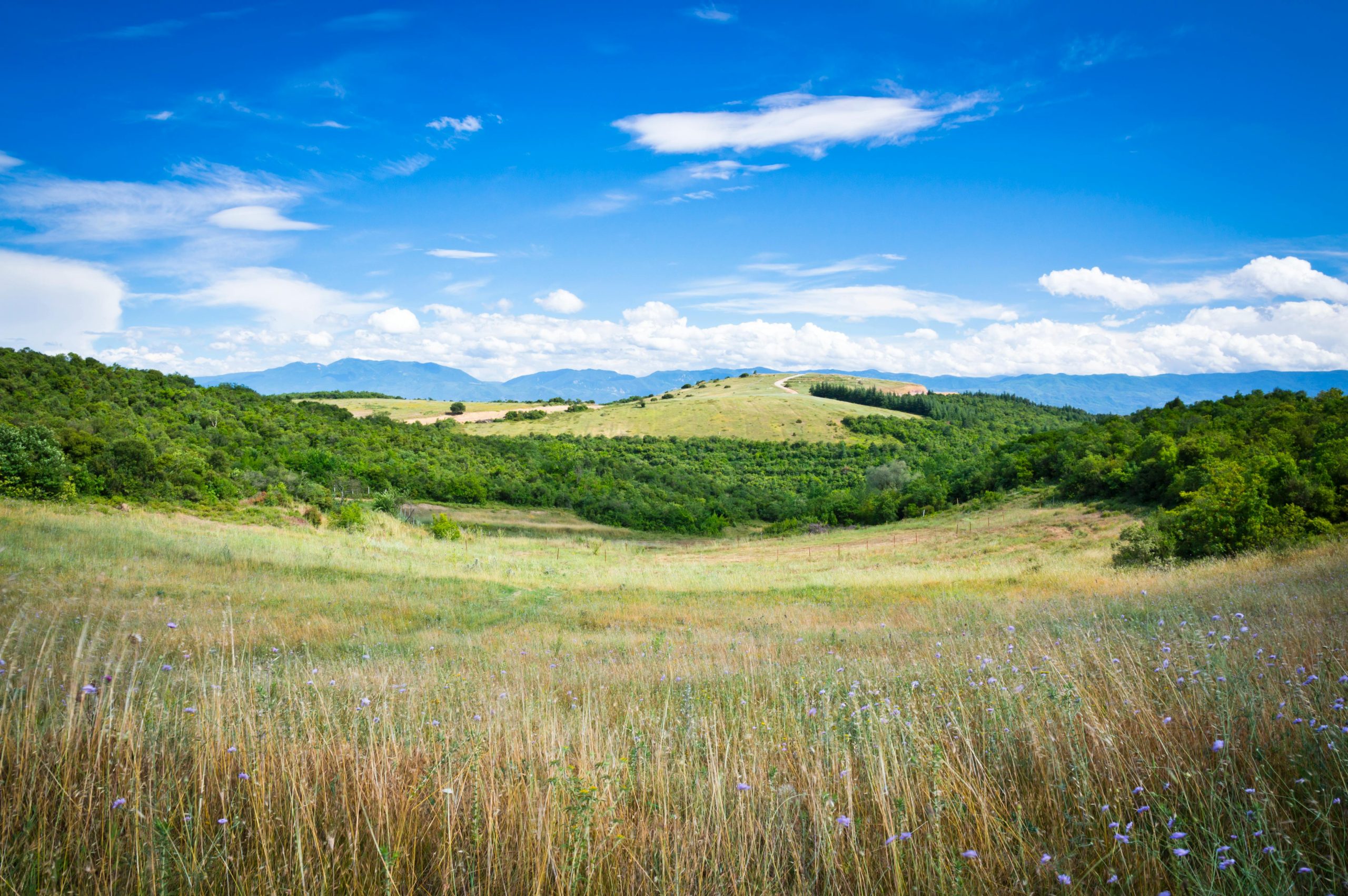 Free stock photo of beauty in nature, blossom, cloud